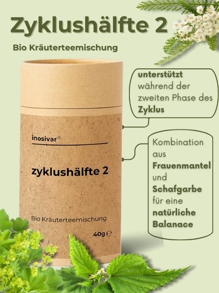 Bio Tee "Zyklushälfte 2"
