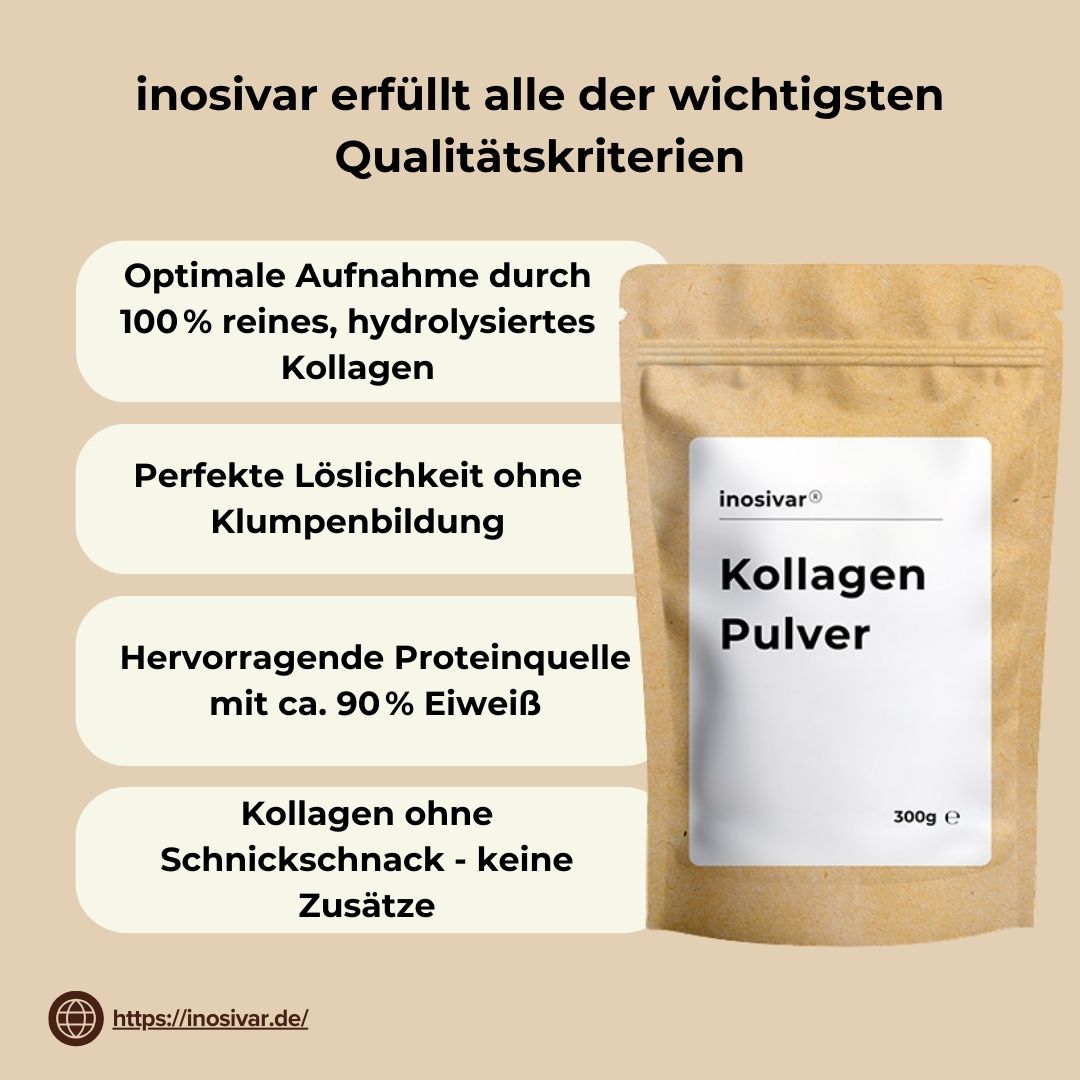 Kollagen Pulver