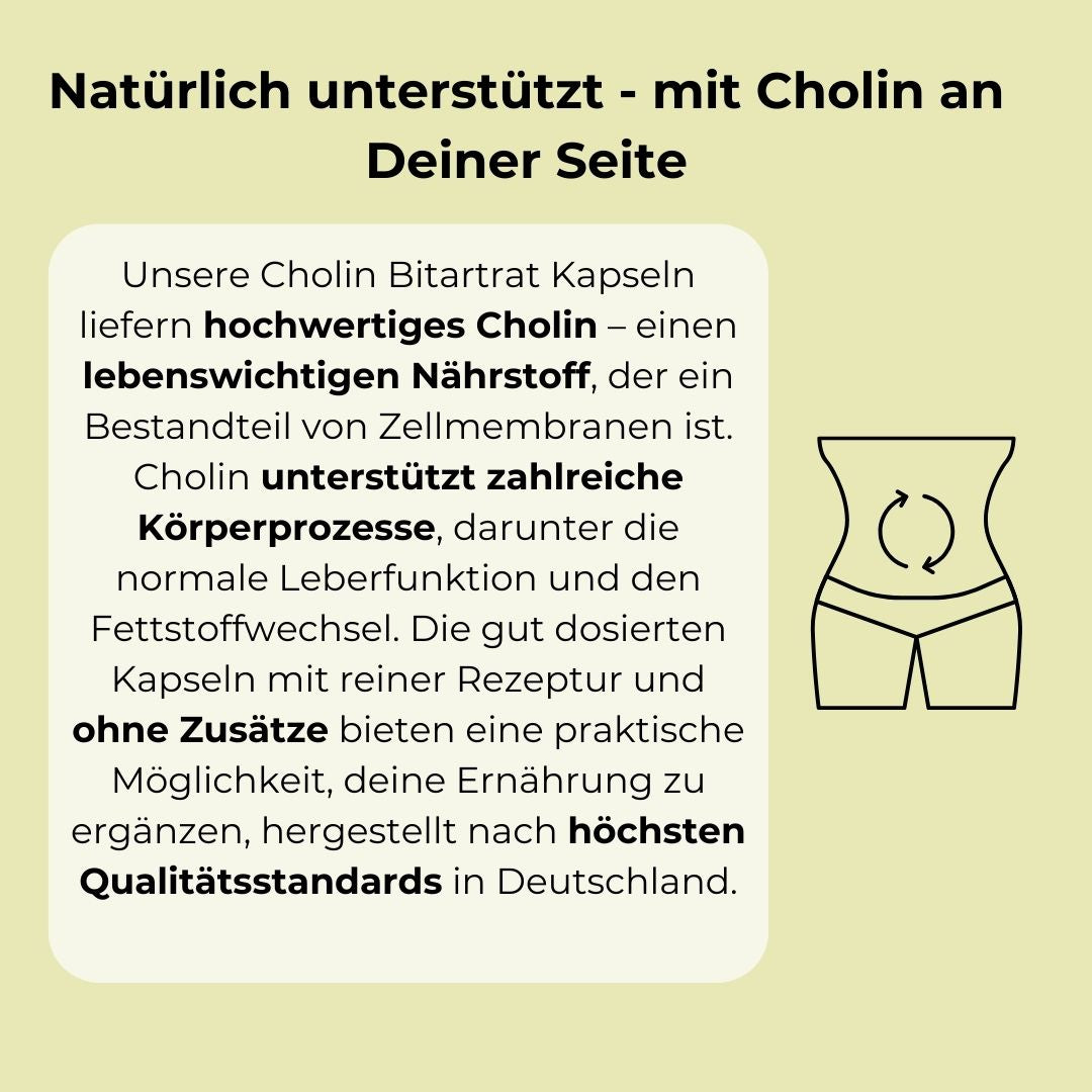 Cholin Bitartrat Kapseln