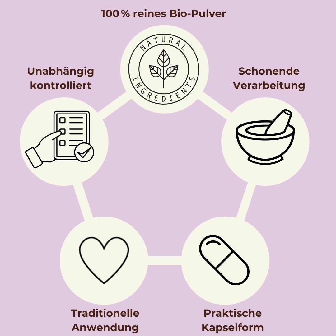 Bio Mönchspfeffer Kapseln