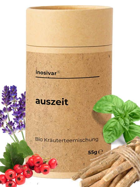 Bio Tee "Auszeit"