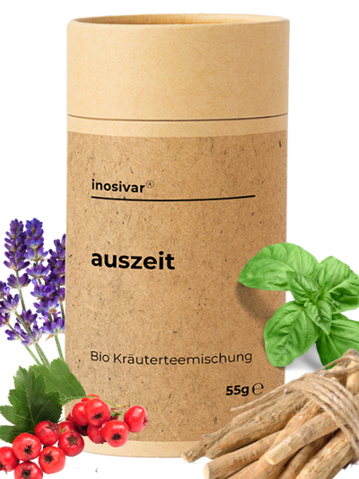 Bio Tee "Auszeit"