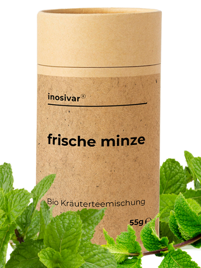 Bio Tee "Frische Minze"